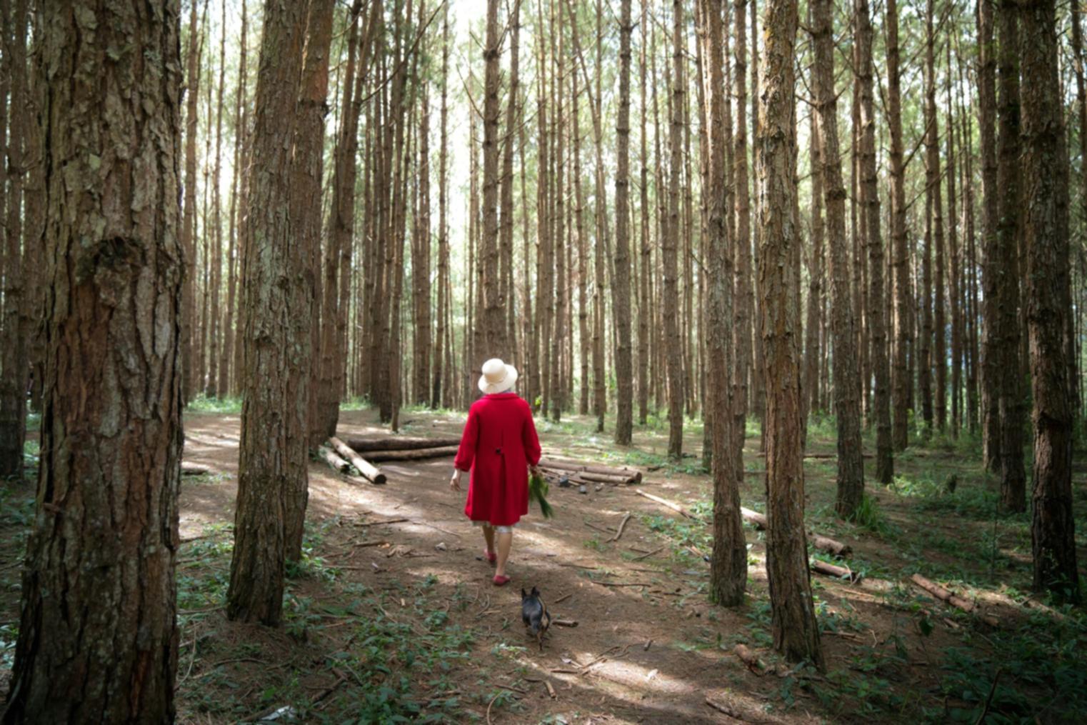 Практичні кейси у туристичній індустрії